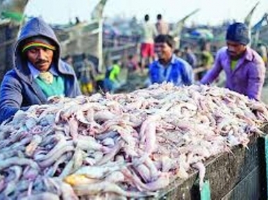 Bangladesh earns over 4 crores by exporting fish